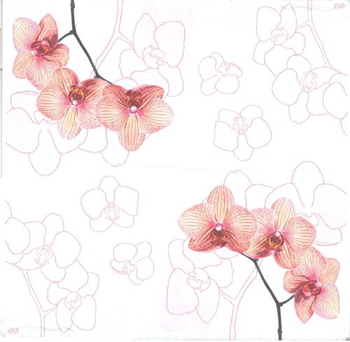 2 Paper Napkins Orchids