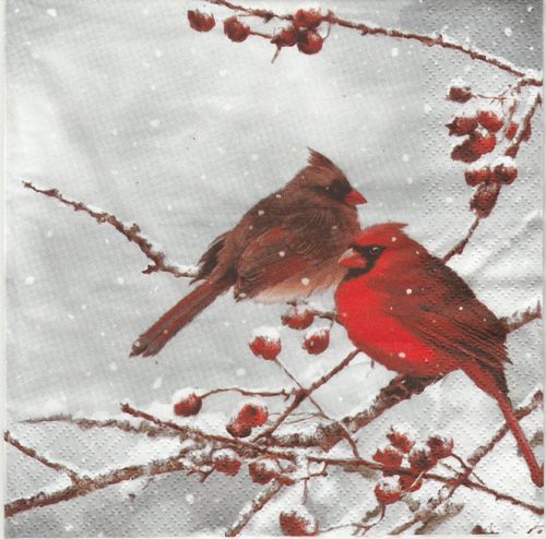 2 Paper Napkins Cardinal Bird on snowy Branch