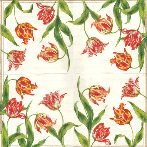 4 Serviettes papier Tulipes