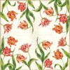 4 Paper Napkins Tulip
