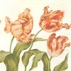 2 Paper Napkins Tulips