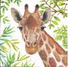 4 Paper Napkins Tropical Giraffe