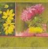 4 Paper Napkins Flower Sunray