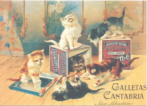 Postcard 15x21 cm Cat Galletas Cantabria