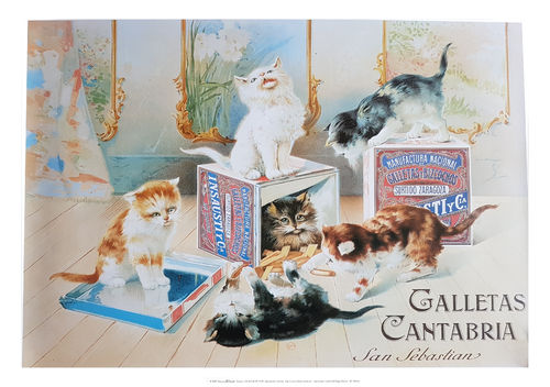 Poster 50x70 cm Cat Galletas Cantabria