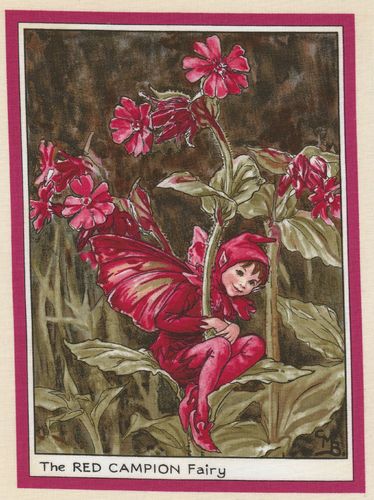 Vignette de Tissu 16x21,5 cm The Red Campion Fairy