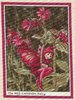 Fabric thumbnail Red Campion Fairy