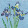 4 Serviettes papier Iris Bleu