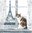 2 Paper Napkins Cat in Paris