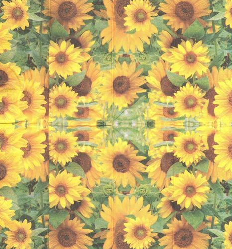 3 Paper Hankies Sunflower