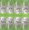 3 Paper Hankies Dalmatian Dog