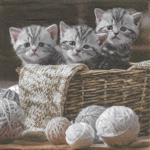 3 Paper Napkins Striped Kittens