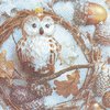 2 Paper Napkins Owl in Winter