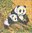 4 Serviettes papier Panda Bambou
