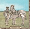 4 Paper Napkins Zebra family