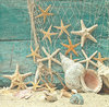 4 Paper Napkins Starfish
